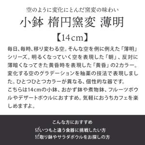 小鉢 楕円窯変 14cm 薄明ボウル 鉢 お皿...の詳細画像3