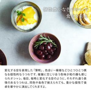 小鉢 楕円窯変 14cm 薄明ボウル 鉢 お皿...の詳細画像4