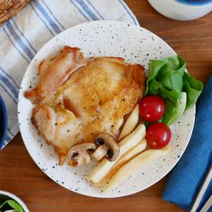 食器セット 人気和食器詰め合わせ 12点セット 送料込み 和食器セット