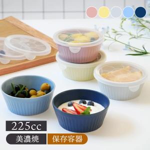 レンジパックボウル S 225cc 軽量食器保存...の商品画像