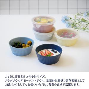 レンジパックボウル S 225cc 軽量食器保...の詳細画像5