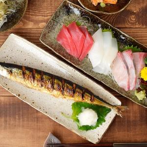 食器 和食器 おしゃれ 皿 さんま皿 備前風 ちょっとスリムなオーバル