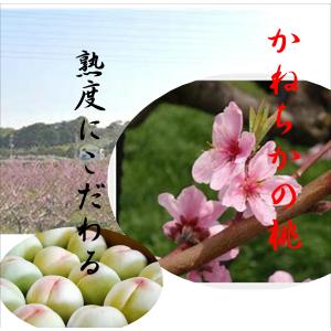 大阪府岸和田市 かねちかの桃 1箱の詳細画像2