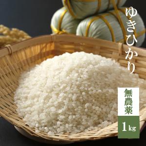 無農薬 ゆきひかり 1kg 北海道米 自然栽培米 玄米 8分米　