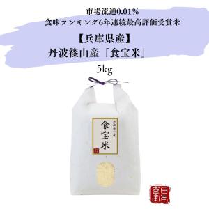 コシヒカリ 新米 令和7年産 米 10kg 篠山コシヒカリ 兵庫県 丹波