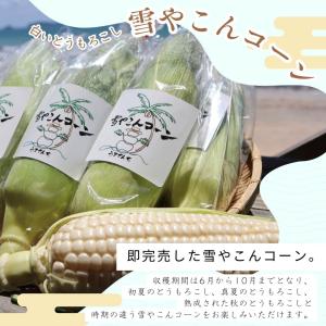【予約販売】とうもろこし 訳あり 雪やこんコー...の詳細画像4