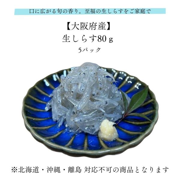 生しらす 80g×5パック 大阪府産 産地直送 お取り寄せ ギフト 離島対応不可