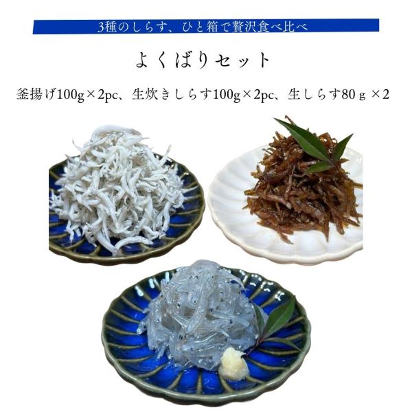 しらす よくばりセット 釜揚げ100g×2パック 生炊き100g×2パック 生80g×2パック 大阪...