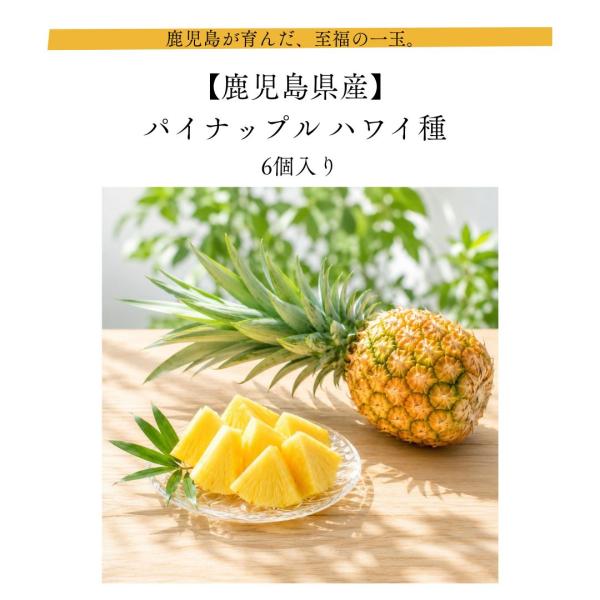 パイナップル ハワイ種 6個入り 鹿児島県産 産地直送 国産 お取り寄せ 果物 お中元  旬 フルー...