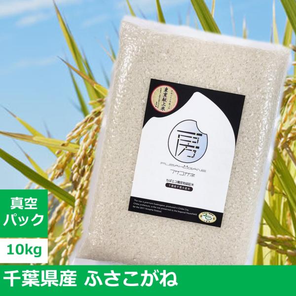 2023年産（令和5年産）千葉県産 ふさこがね　10kg【真空パック×1袋】