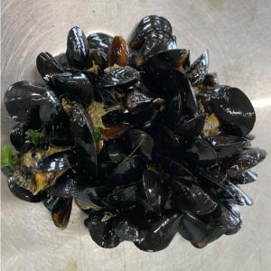 魚つり用 えさ ムール貝 訳あり 活ムール貝 [極小