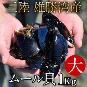 ムール貝 活ムール貝 [大 1kg] 殻付き 生ムール貝 三陸