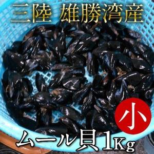ムール貝 活ムール貝 [小 1kg] 殻付き 生ムール貝 三陸