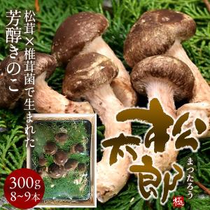 松太郎 きのこ 松茸×椎茸菌 芳醇キノコ［優品］まつたろう
