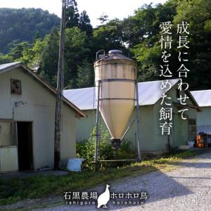 ホロホロ鳥 国産 ほろほろ鳥 角ハムブロック[...の詳細画像5