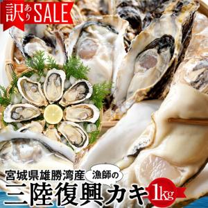 牡蠣 訳あり [規格外]カキ 1kg 復興牡蠣 加熱用 殻付き...