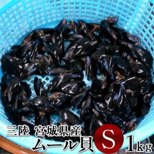 ムール貝 活ムール貝 [小 1kg] 殻付き 生ムール貝 三陸...