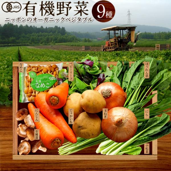 日本の有機野菜セット［9種類］旬のおまかせ 全国ご当地生産者のこだわり有機栽培 オーガニック ベジタ...