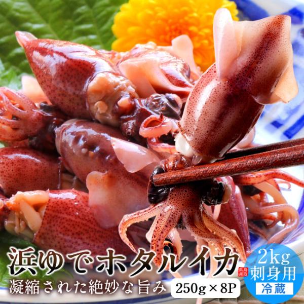 ホタルイカ ボイルホタルイカ 2kg［250g×8P］鳥取県 日本海 ブランド 食べやすい 新鮮茹で