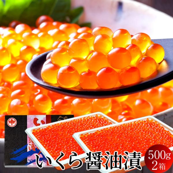 いくら 北海道産 イクラ 醤油漬け 1kg（500g×2箱） 魚卵 秋鮭卵 最北オホーツク海 知床育...