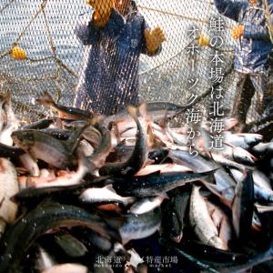 いくら 北海道産 イクラ 醤油漬け 300g(...の詳細画像3