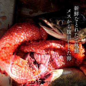 いくら 北海道産 イクラ 醤油漬け 300g(...の詳細画像4