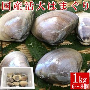 活はまぐり 大サイズ 1kg (6〜8個) 約140g  国産 お食...