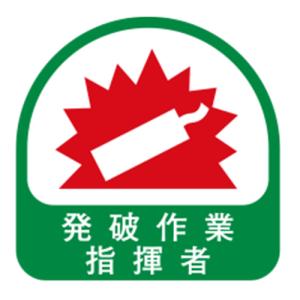TOYO ヘルメット用シール NO.68-030の商品画像
