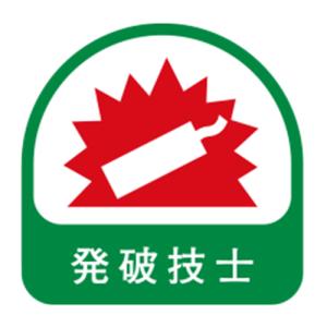 TOYO ヘルメット用シール NO.68-031の商品画像