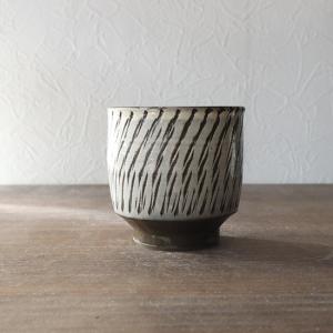 茶道具 抹茶茶碗 萩焼き 8代 岡田裕作 晴雲山窯 萩焼 茶道 : 茶道具