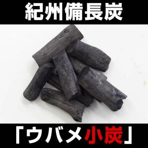 『紀州備長炭「小炭」』 280g前後 炭 木炭 白炭 浄水 炊飯