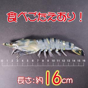 ソフトシェルシュリンプ えび エビ 海老 まる...の詳細画像4