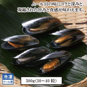 ムール貝　冷凍　殻付き　ボイル　３０−40粒　５００ｇ｜shokuryu-tokyo