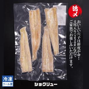 煮穴子　あなご　冷凍　4尾　寿司　丼ぶり　アナゴ