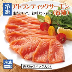 サーモン　鮭　アトランティックサーモン　冷凍　生　寿司　刺身　ギフト