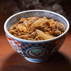 吉野家 牛丼の具１０食セット｜shokusai-kazoku