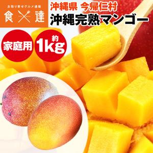 常初花ートコハツハナ　完熟ミニマンゴー　家庭用 常初花ートコハツハナ 完熟ミニマンゴー 家庭用 ミニマンゴー 家庭用