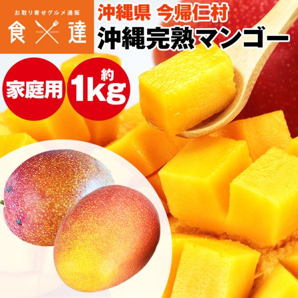 マンゴー 沖縄 完熟マンゴー ご家庭用 1kg 今帰仁村 アップルマンゴー アーウィン種 冷蔵便 同...
