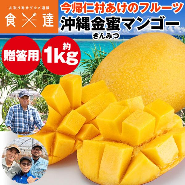 金蜜マンゴー 1kg 贈答用 沖縄県産 キンミツ マンゴー 今帰仁村 産直 冷蔵便 同梱不可 指定日...
