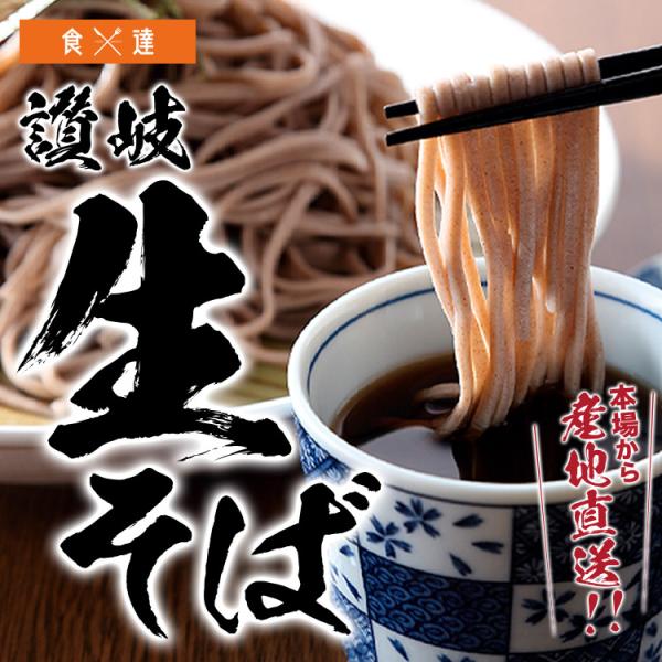 そば 讃岐 生そば 6食セット 麺のみ 築地ばんや 常温便 お取り寄せグルメ 食品 ギフト