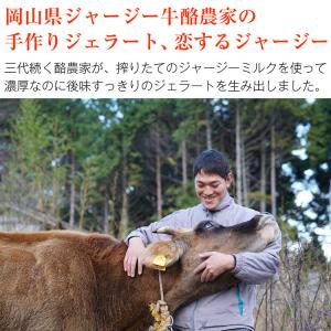 ジェラート アイス 5種8個入り 国産 ジャー...の詳細画像1