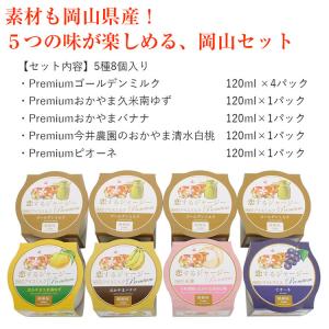 ジェラート アイス 5種8個入り 国産 ジャー...の詳細画像2