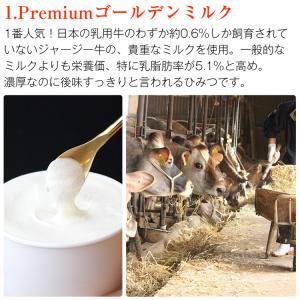 ジェラート アイス 5種8個入り 国産 ジャー...の詳細画像3