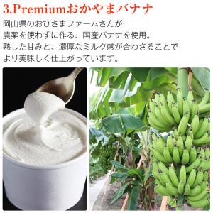 ジェラート アイス 5種8個入り 国産 ジャー...の詳細画像5