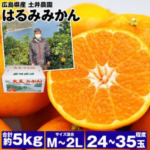 はるみ みかん 5kg 広島県 24〜35玉程度 M/L/2Lサイズ混合 土井農園 大長みかん 産地直送 柑橘 みかん フルーツ 果物 常温便 同梱不可 指定日不可 産直