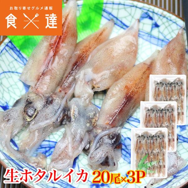 ほたるいか 蛍いか 生ホタルイカ 生食用 20尾入り 3パックセット 珍味 刺身 冷凍便 ギフト