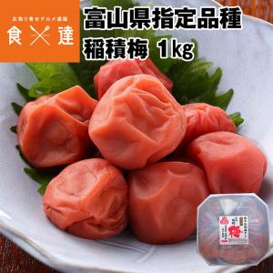 氷見稲積梅1kg 産地直送 梅干 天日干し 着色料無添加 富山県 氷見市