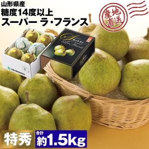 ラ・フランス 糖度14度以上 1.5kg 山形県産 スーパーラ・フランス スーパーラフ ラフランス ギフト 贈答 産直 常温便 同梱不可 指定日不可