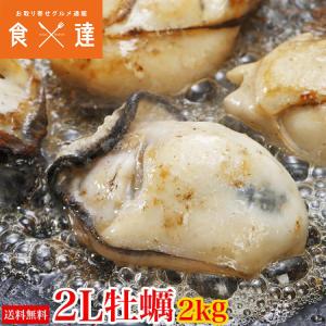 広島県産 大粒２Lの牡蠣 約2kg カキ 牡蠣 かき 冷凍便 カキフライや鍋に ギフト｜shokutatsu