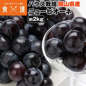 ピオーネ ニューピオーネ 約2kg 4〜5房 青...の商品画像